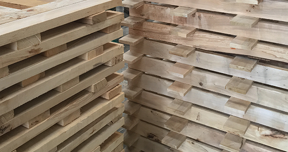 Fabricacion de palets de madera para bidones Maderas Montevideo